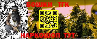 крисы Славянск-на-Кубани