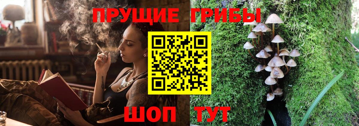 Псилоцибиновые грибы Psilocybe  Галлюциногенные грибы Magic Shrooms  Вход с VPN  Ноябрьск 