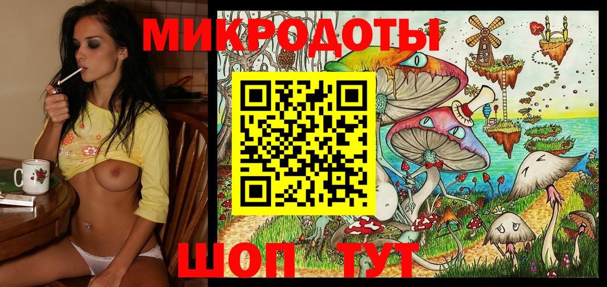 Галлюциногенные грибы Psilocybe Ноябрьск